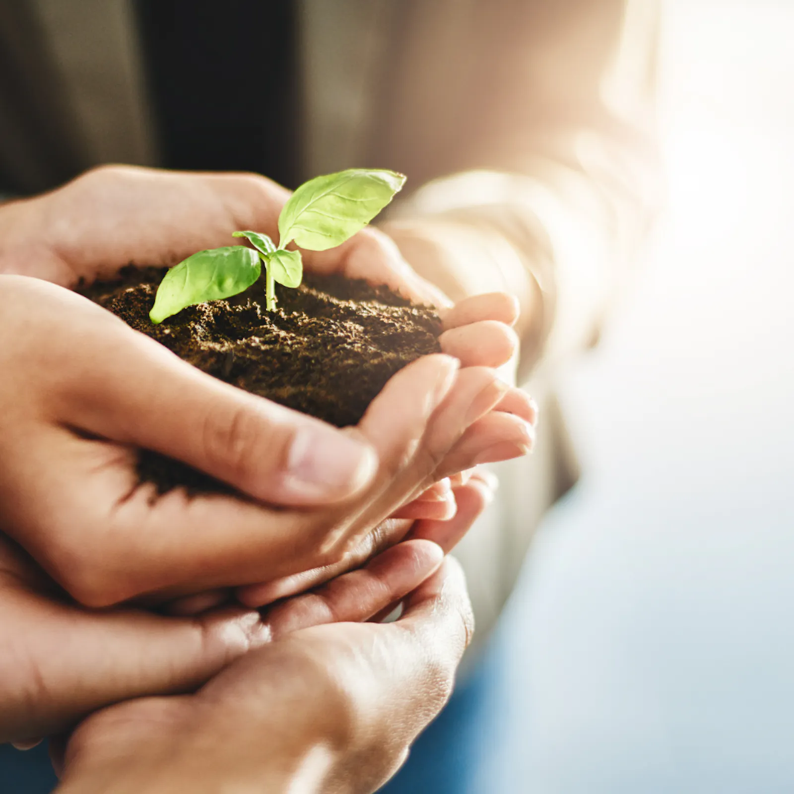 MDL's New Full Service Solutions for Financial Service Providers